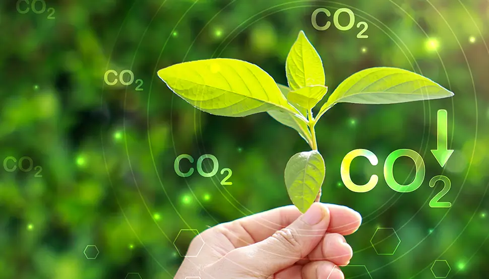 CO2 neutrale Kleidung aus Latex CO2 neutrale Kleidung aus Latex