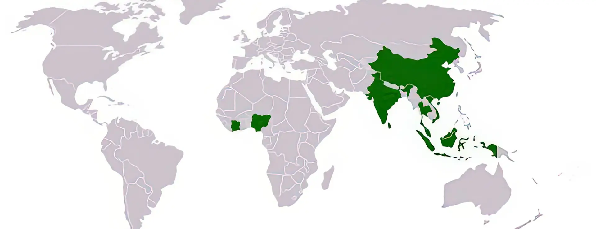 World map for latex production World map for latex production